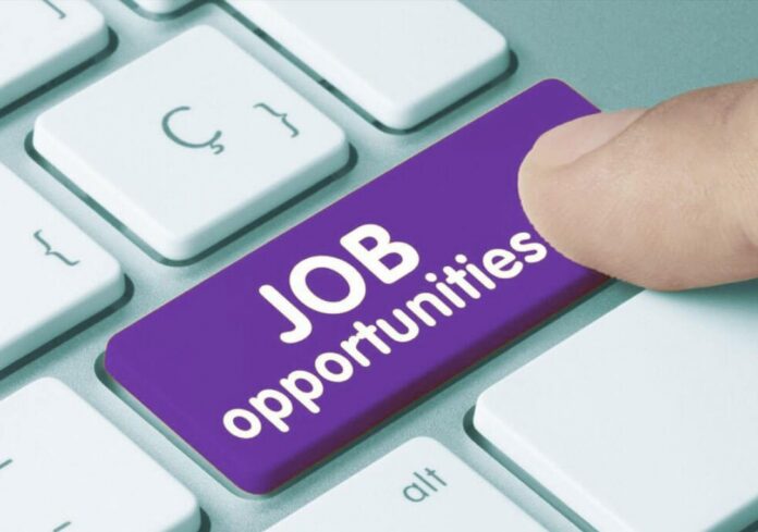 jobs opportunities_999987456789458976543333