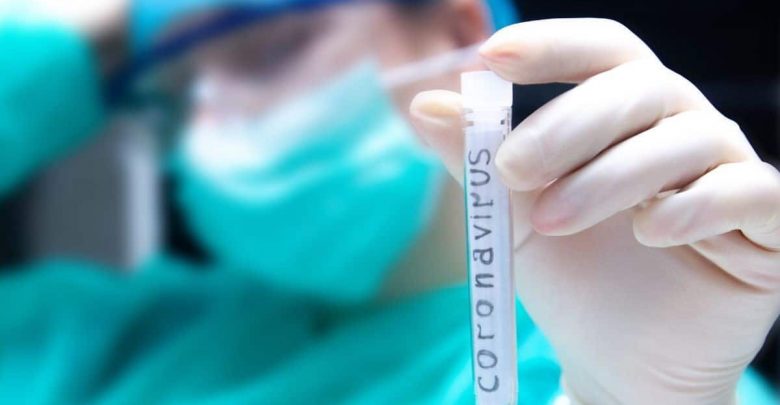 img 7496 1 780x405 1