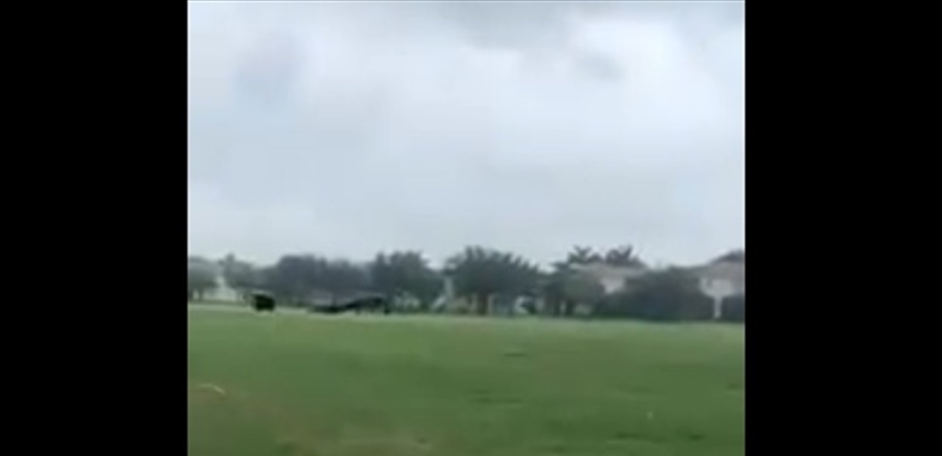 Doc P 766188 637410218025217638