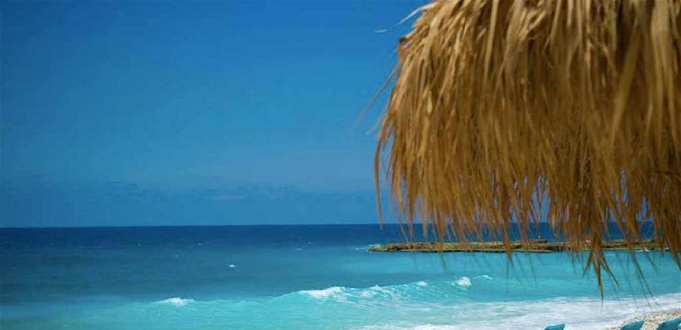 Doc P 770283 637422337081568073