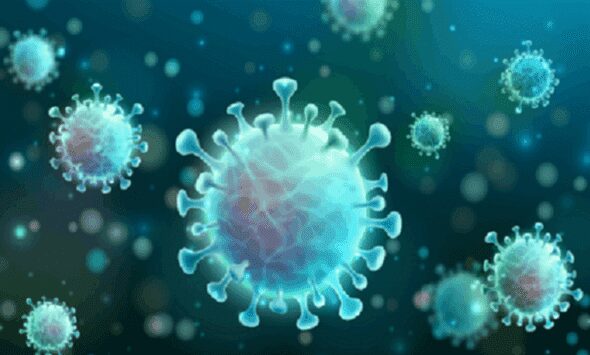 main image5fb9aaeeb4cfc