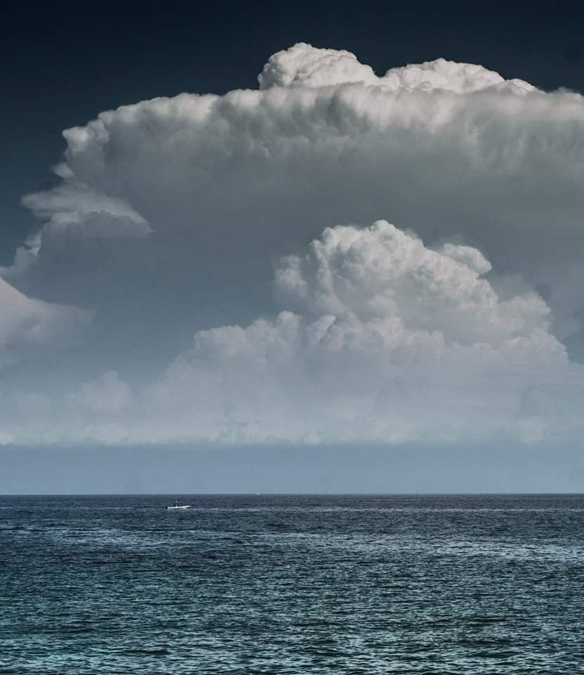 FB IMG 1607159919896