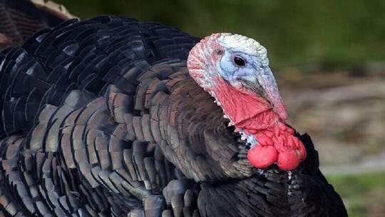 main image5fcd0516bb6ef