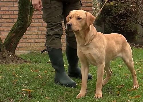 main image5fcd2b66c56fb