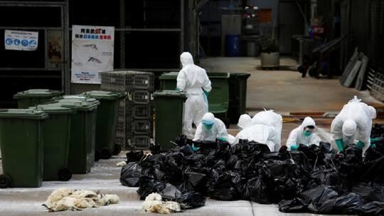 main image5fcd62a33840f