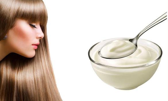 main image5fcec7d4ae957