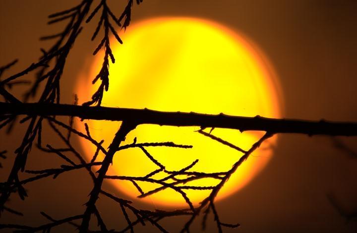 main image5fd517fb5f814