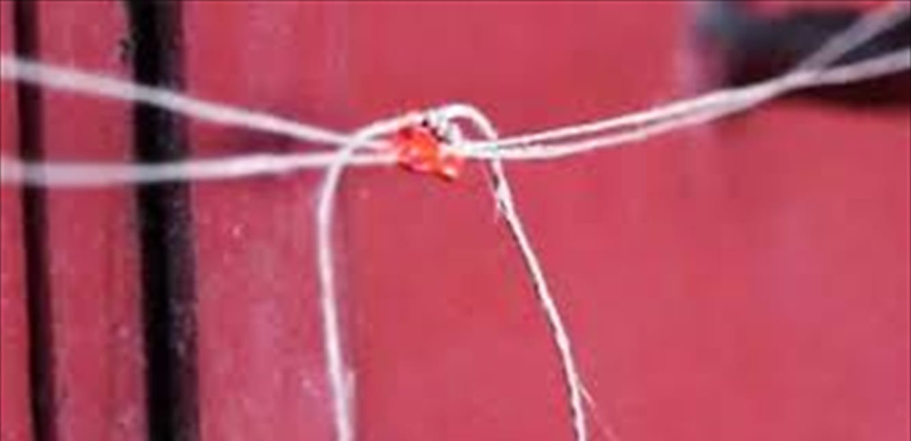 Doc P 784893 637464094532712105