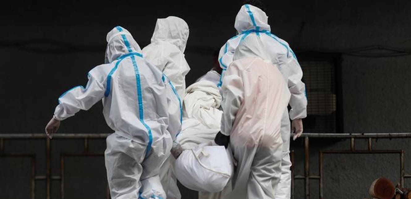 Doc P 788070 637473263148668031