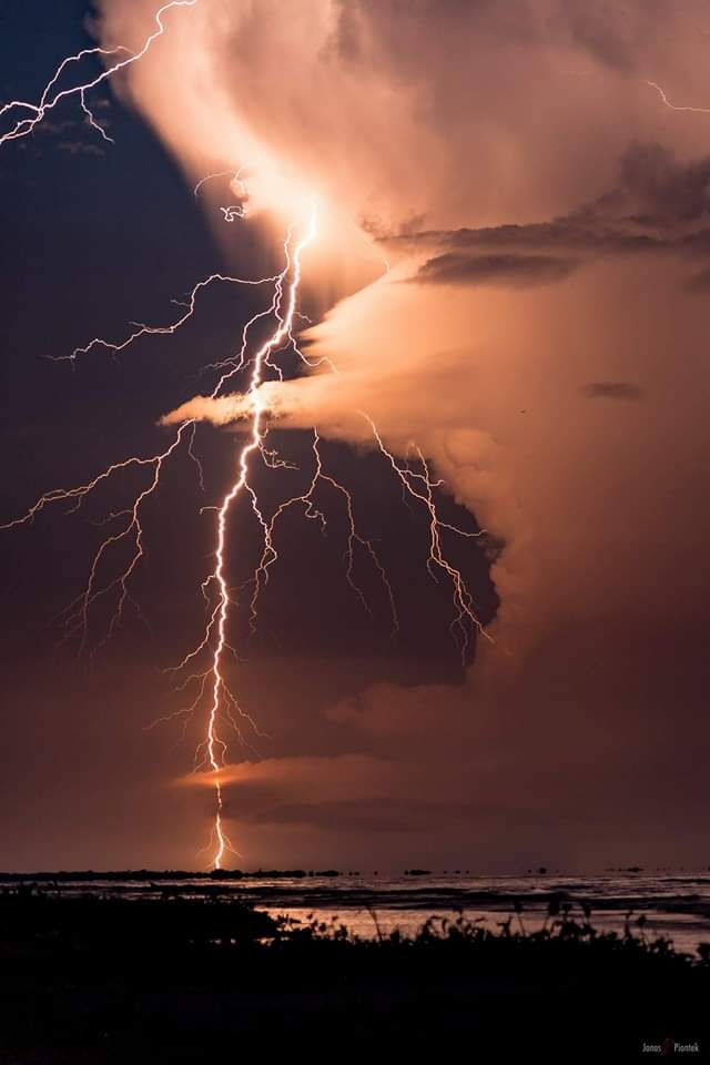 FB IMG 1611749698511