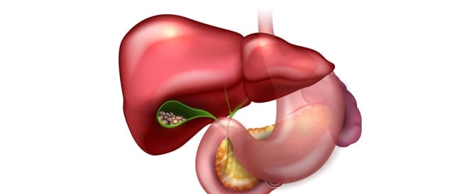 main image5f167e4d95f73