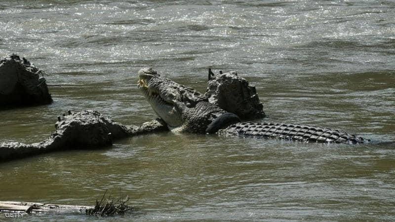 main image5ff59a6a3f6cc