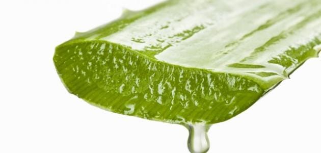 main image5ff8592402d7c