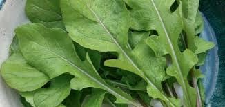 main image601466150889a