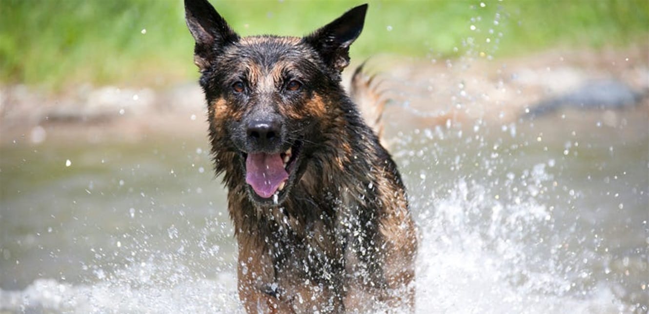 Doc P 793256 637487390891156363