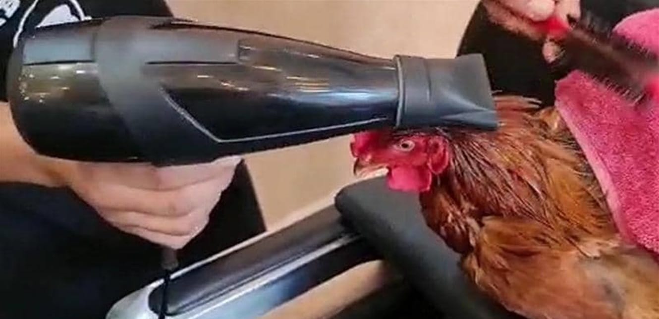 Doc P 793554 637488293333014645