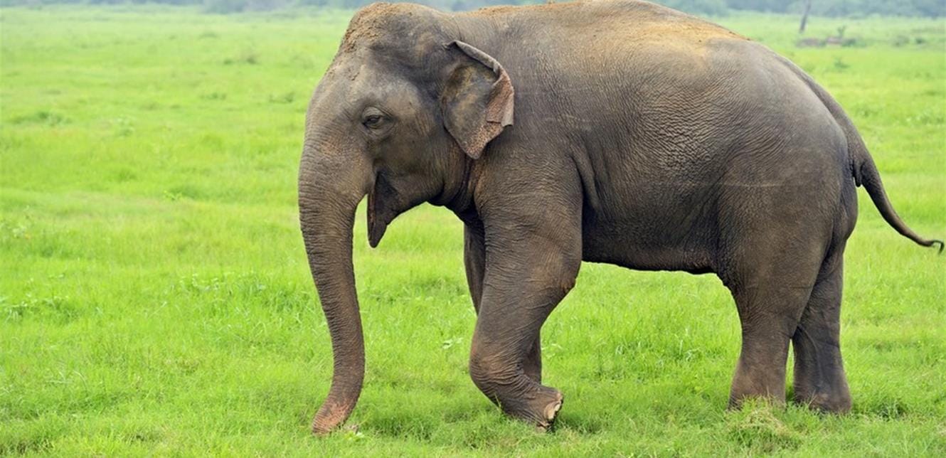 Doc P 795031 637492472767522143