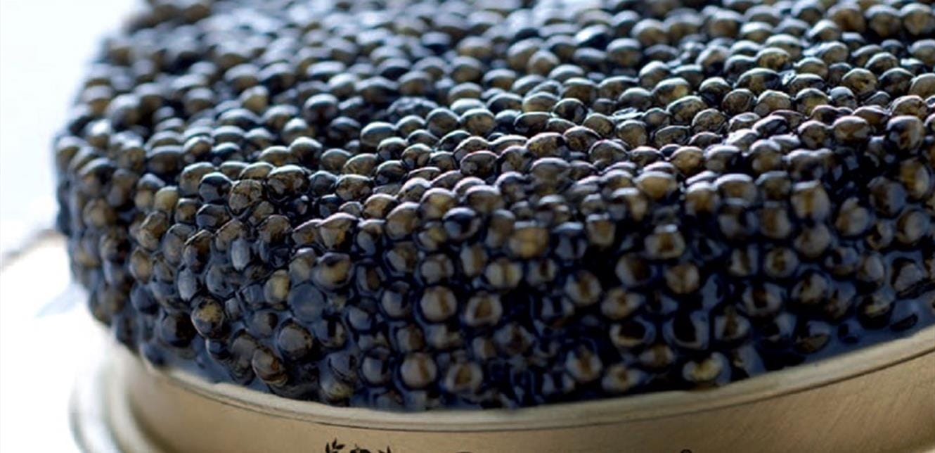 Doc P 795491 637493577448032268