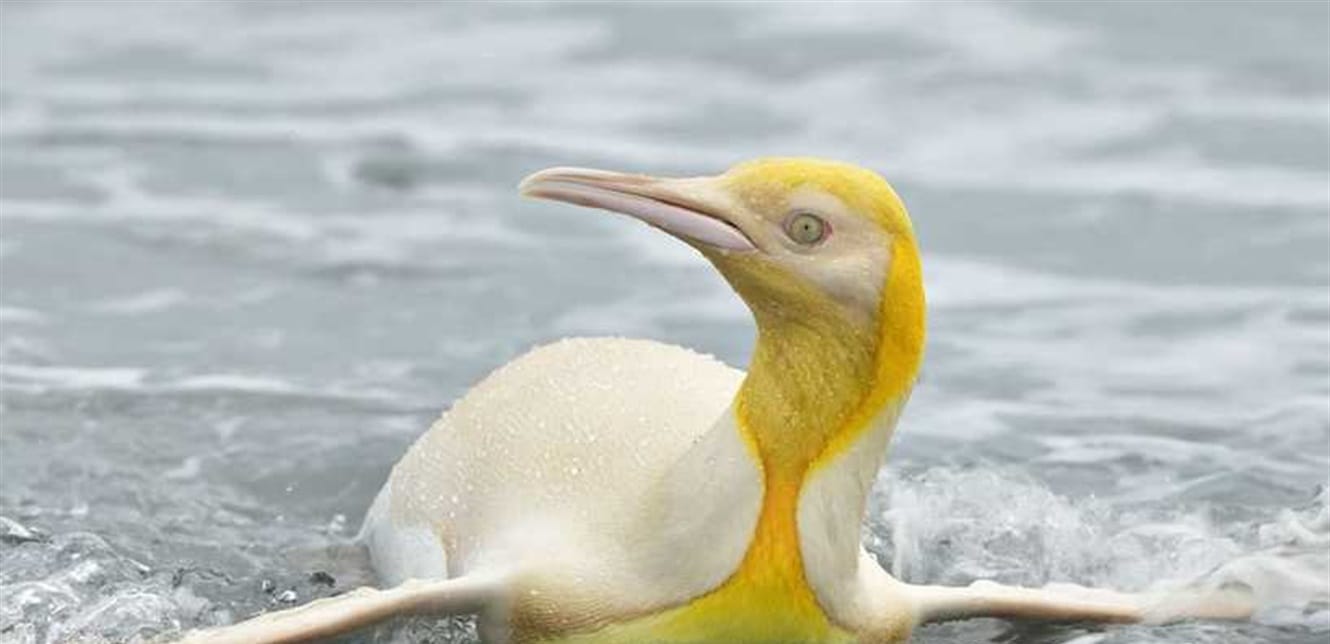 Doc P 795678 637494213979831733