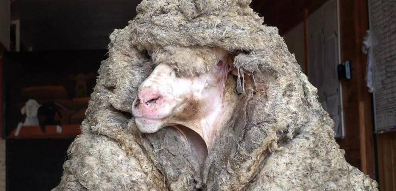 Doc P 796930 637497644998221267