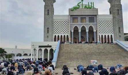 Doc T 795317 637493234096714421