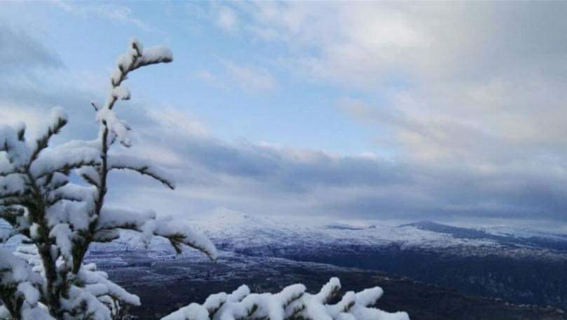 FB IMG 1613222614681