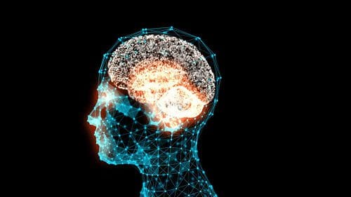 main image60380c926a249