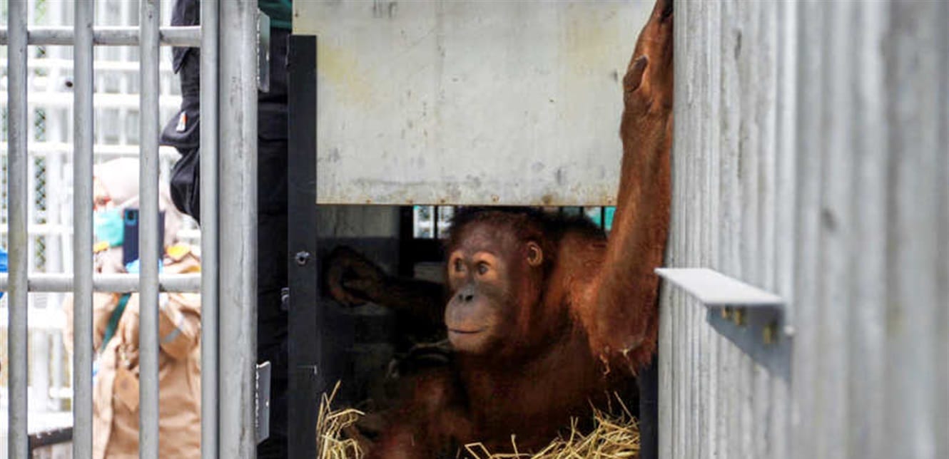 Doc P 798958 637503121279520943