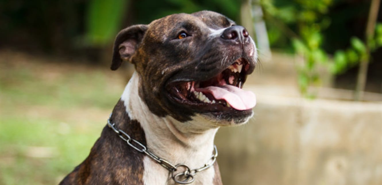 Doc P 800084 637505797254439670