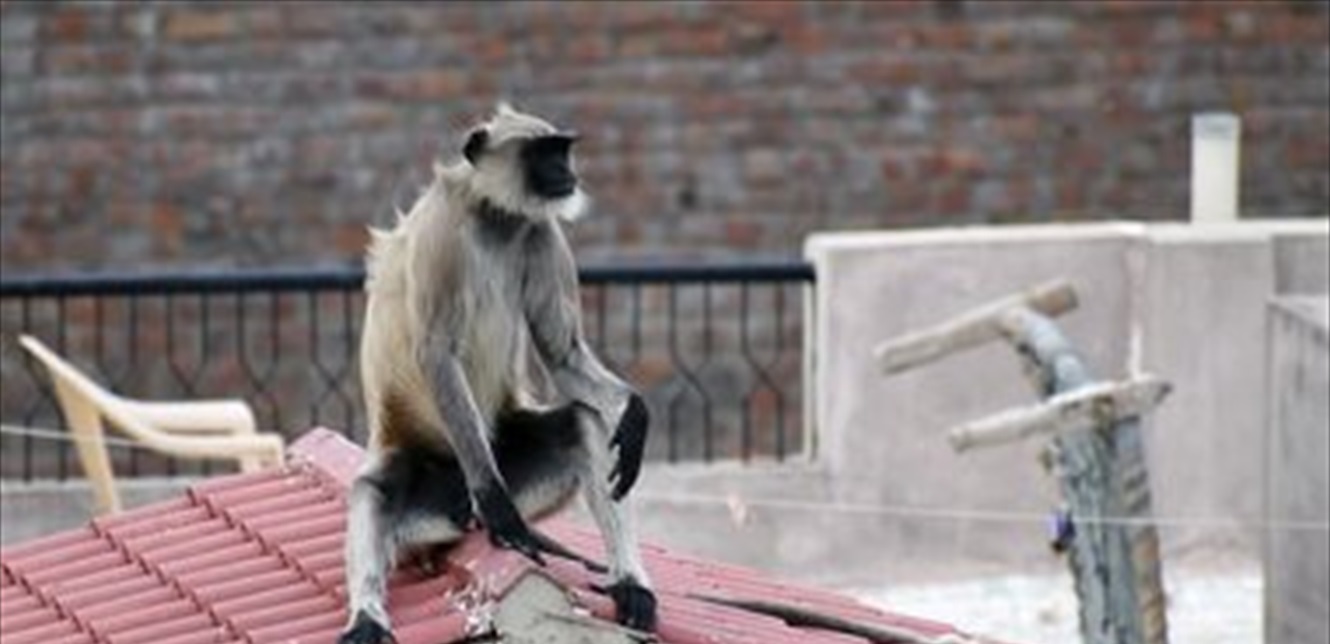 Doc P 805116 637518521577875093