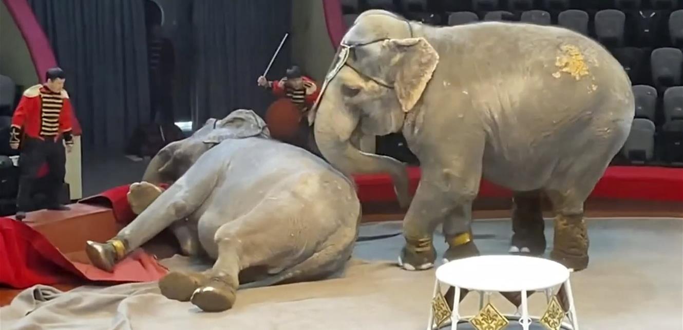 Doc P 806248 637521794554279413