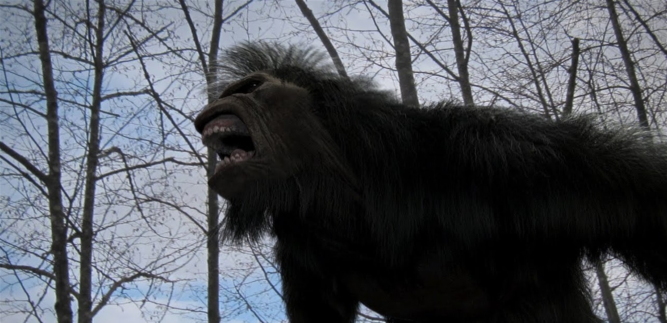 Doc P 807805 637526182804413870