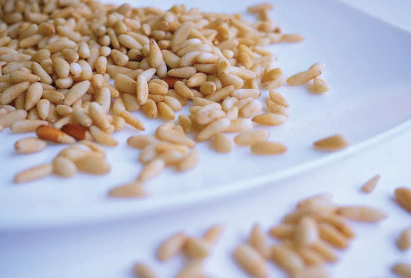 main image603cc6f3dd4cc