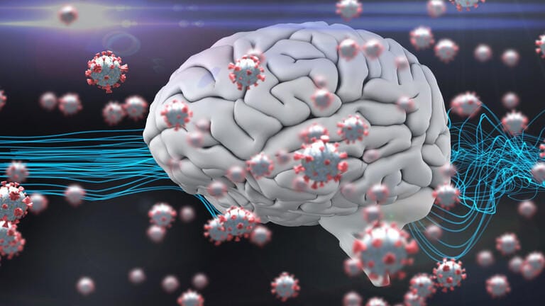 main image60410f9e6455d