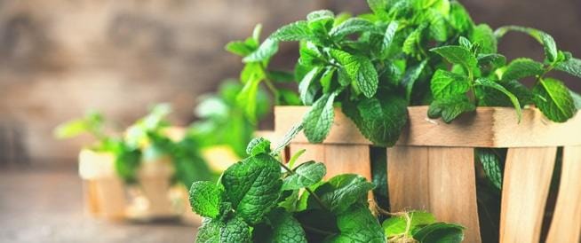 main image605057c76c277