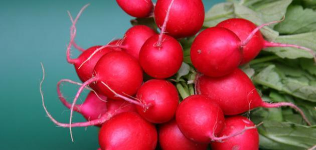 main image60636fcd16ae1