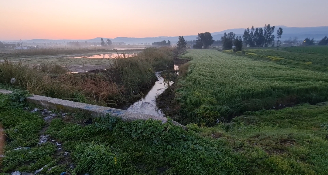 999999875648954689754698756433333