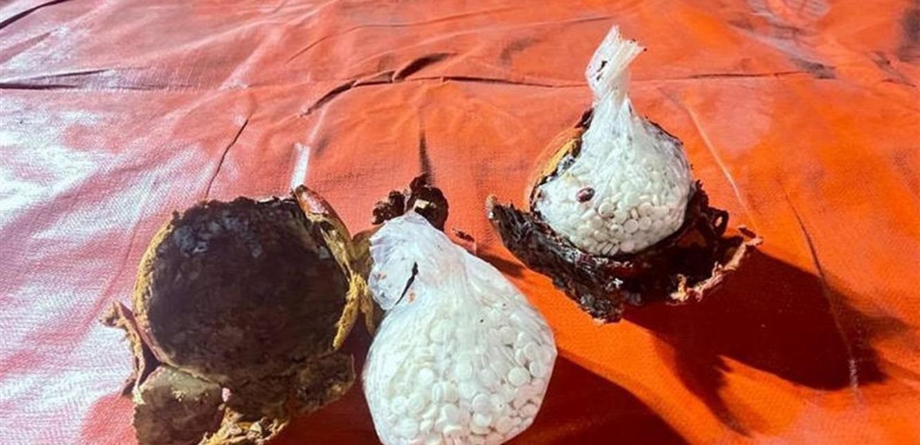 Doc P 817206 637551202956114466