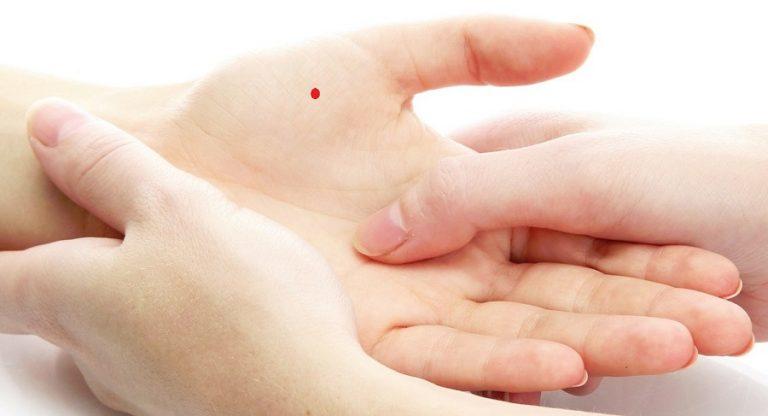 main image6085a51fd8e53