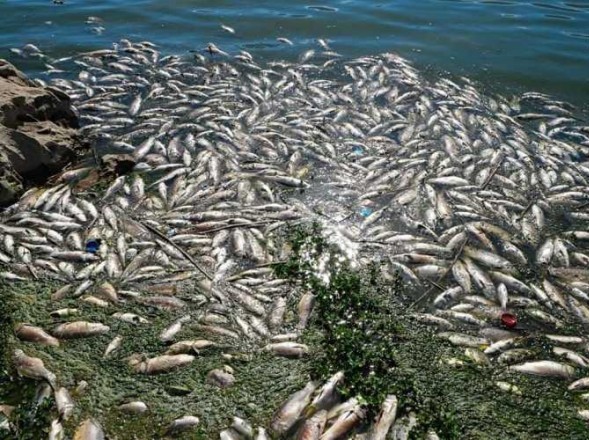 999999987564897456789456987468974653333