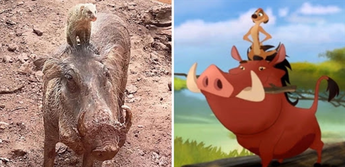 Doc P 823142 637566747128442964