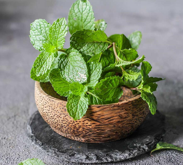 main image6092a12591066