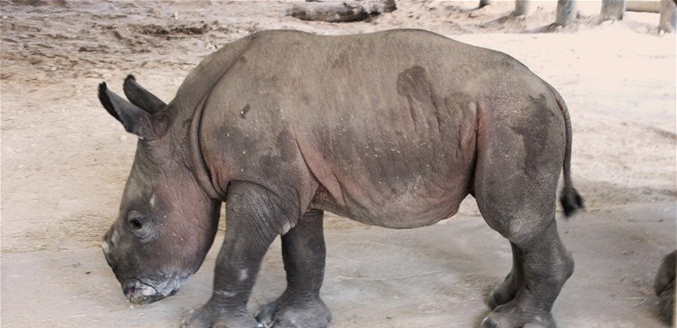 Doc P 833192 637592950731879988