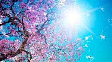 News T 593236 637581309390602904