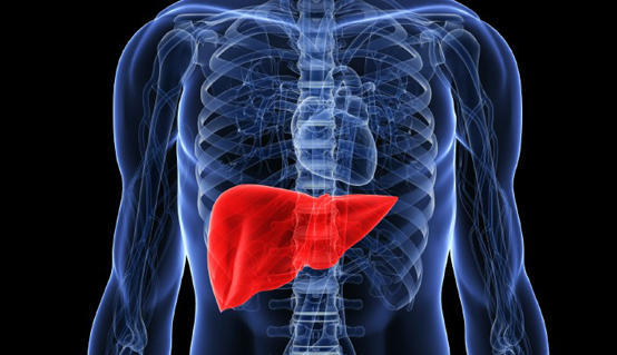 main image60d0cbb0ce2d8