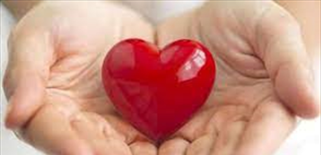 Doc P 839533 637610010045151310