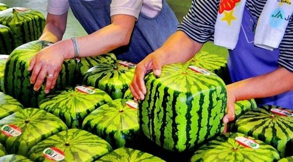 main image60dc4249d809b