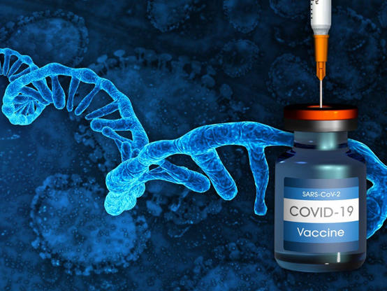 main image60e210f4d421b