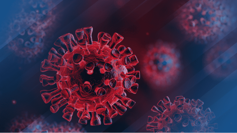 main image60e313ef0dbcd