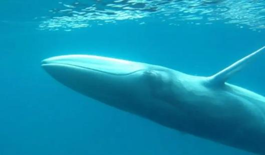 main image60e41d577476d